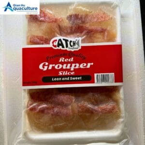 FROZEN RED GROUPER SLICED 300G