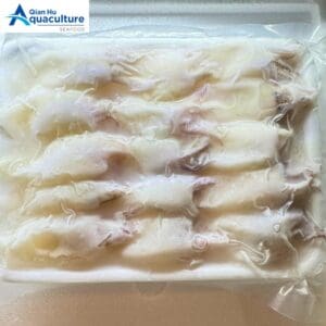 FROZEN BABY SQUID 300G