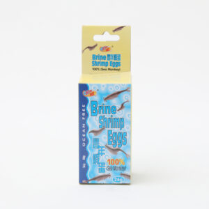 BRINE SHIRMP EGG