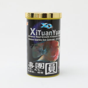 OF XI TUAN YUEN