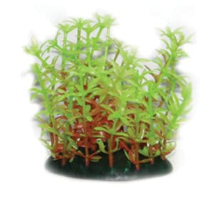 PLASTIC PLANT SERIES