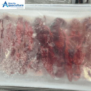 FROZEN COOKED CRAWFISH 30 - 40GM (1KG)