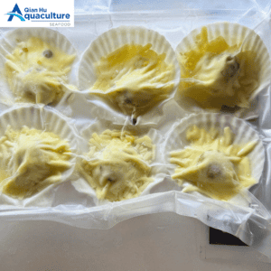 FROZEN SHELL SCALLOP WITH CHEESE