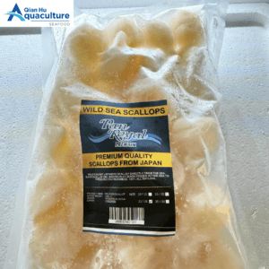 FROZEN PREMIUM JAPANESE SCALLOP MEAT 1KG