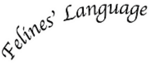 felines-language